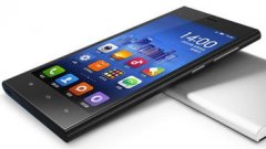 而且具备根基的能